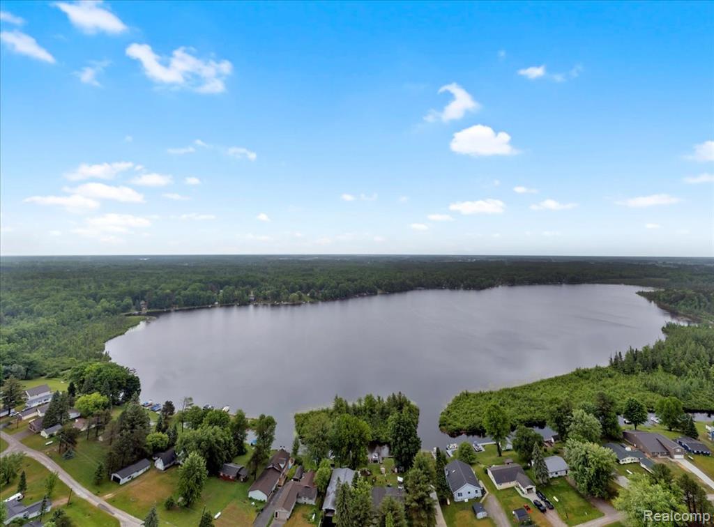 2898 E Lake Drive, Lupton, MI 48635 — Photo 3