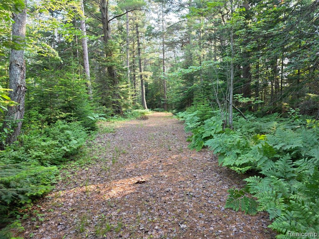 4680 S Pineshore Row, Brimley, MI 49783 — Photo 17