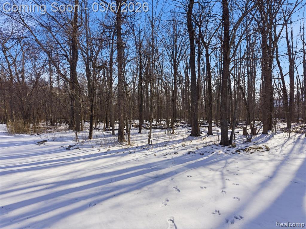 5966 Augusta Lane, Grand Blanc, MI 48439 — Photo 29