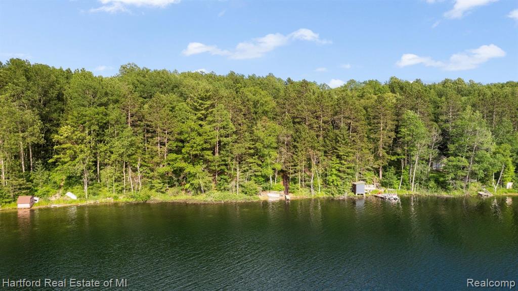 7643 K P LAKE ROAD, Grayling, MI 49738 — Photo 48