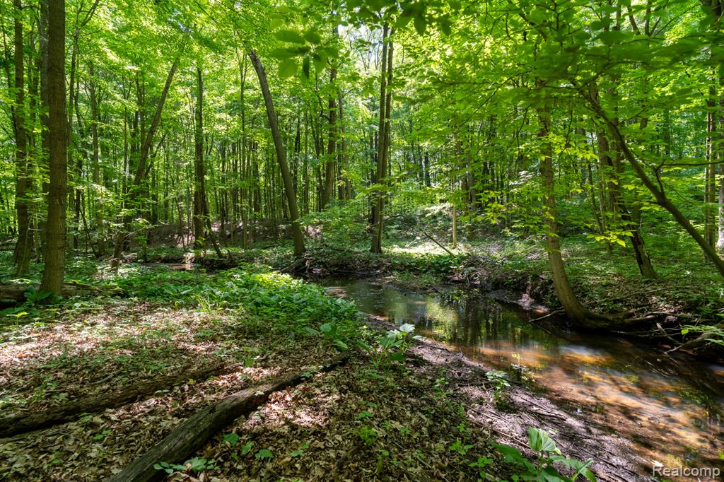 5177 Merwin Road, Lapeer, MI 48446 — Photo 54