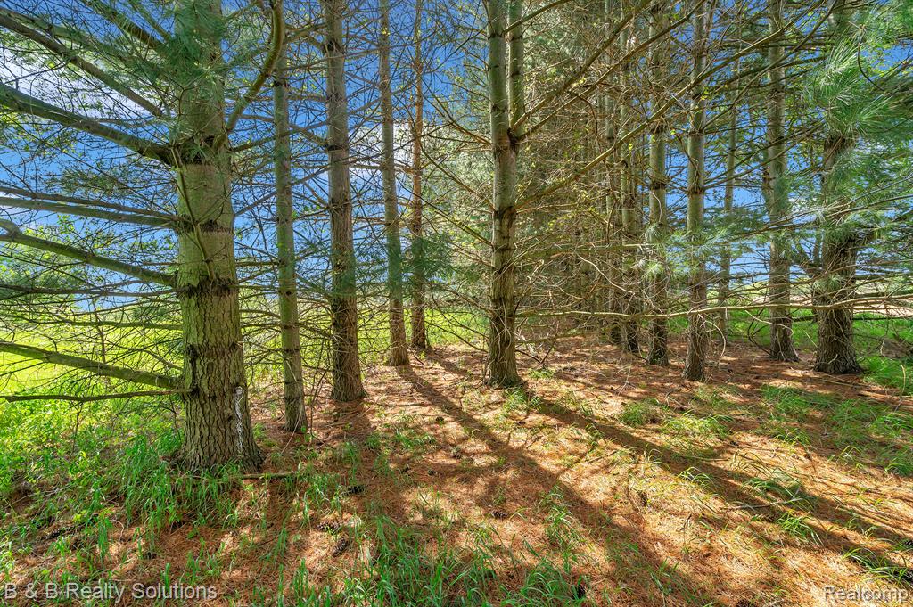 2864 N BLACKS CORNERS Road, Imlay City, MI 48444 — Photo 44