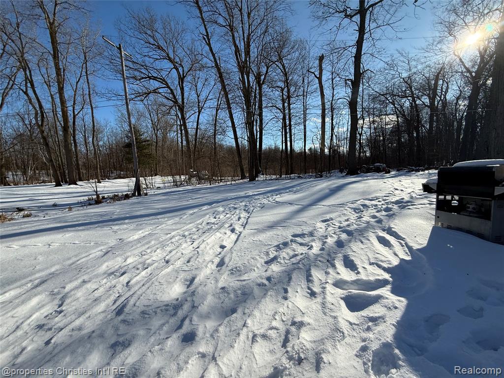 4819 Northway Drive, Attica, MI 48412 — Photo 7