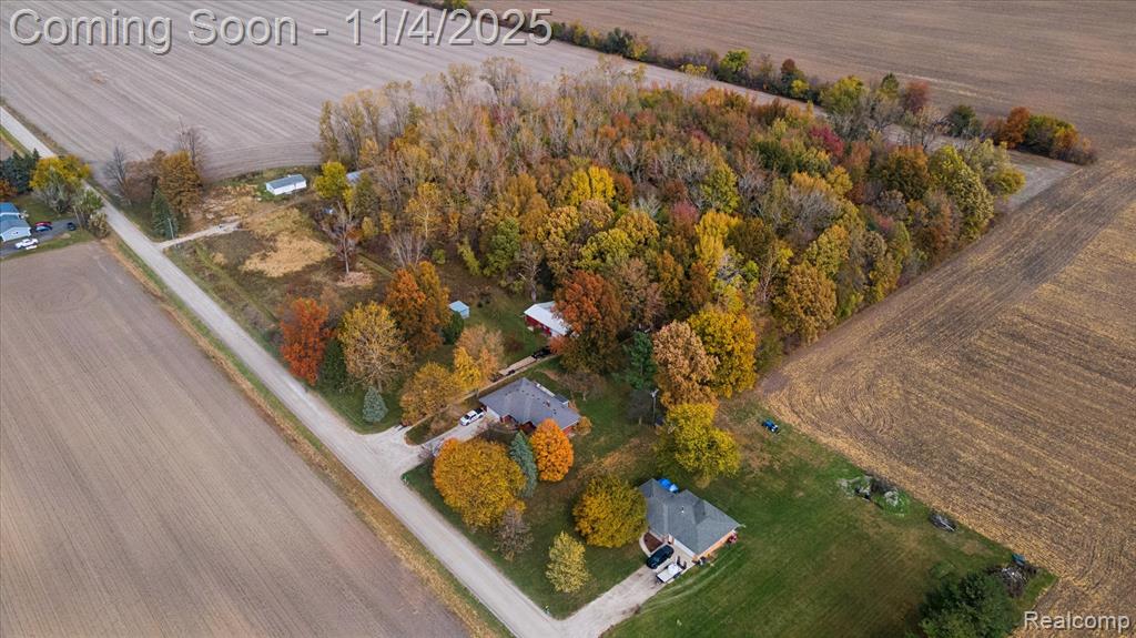 9200 Platt Road, Dundee, MI — Photo 23