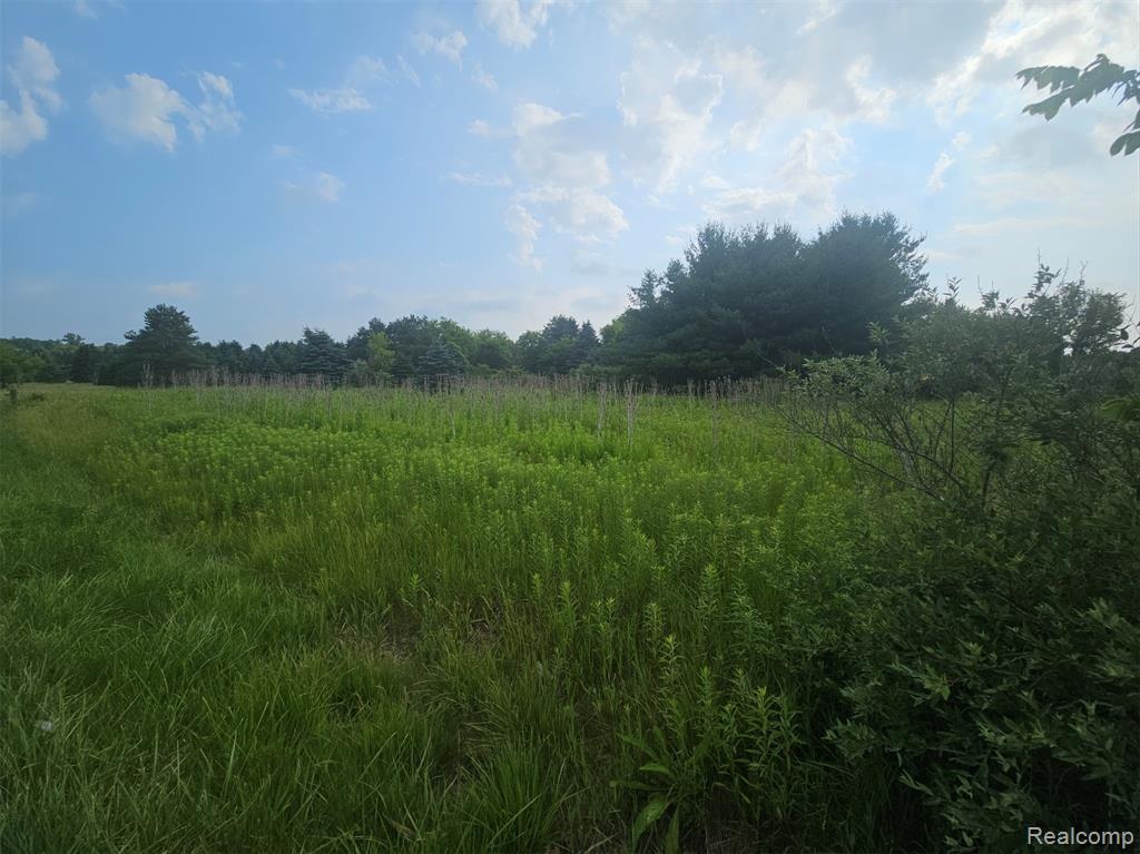 VL Millville Road, Lapeer, MI 48446 — Photo 8