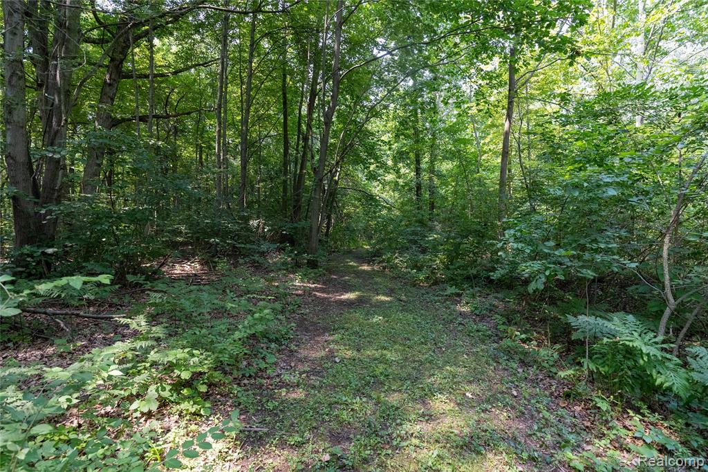 14405 Rawsonville Road, Belleville, MI 48111 — Photo 29