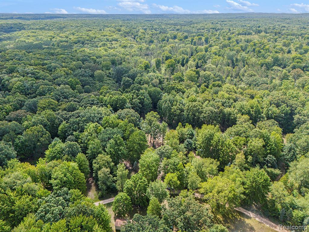 4977 E Buck Rub Road, Custer, MI 49405 — Photo 34