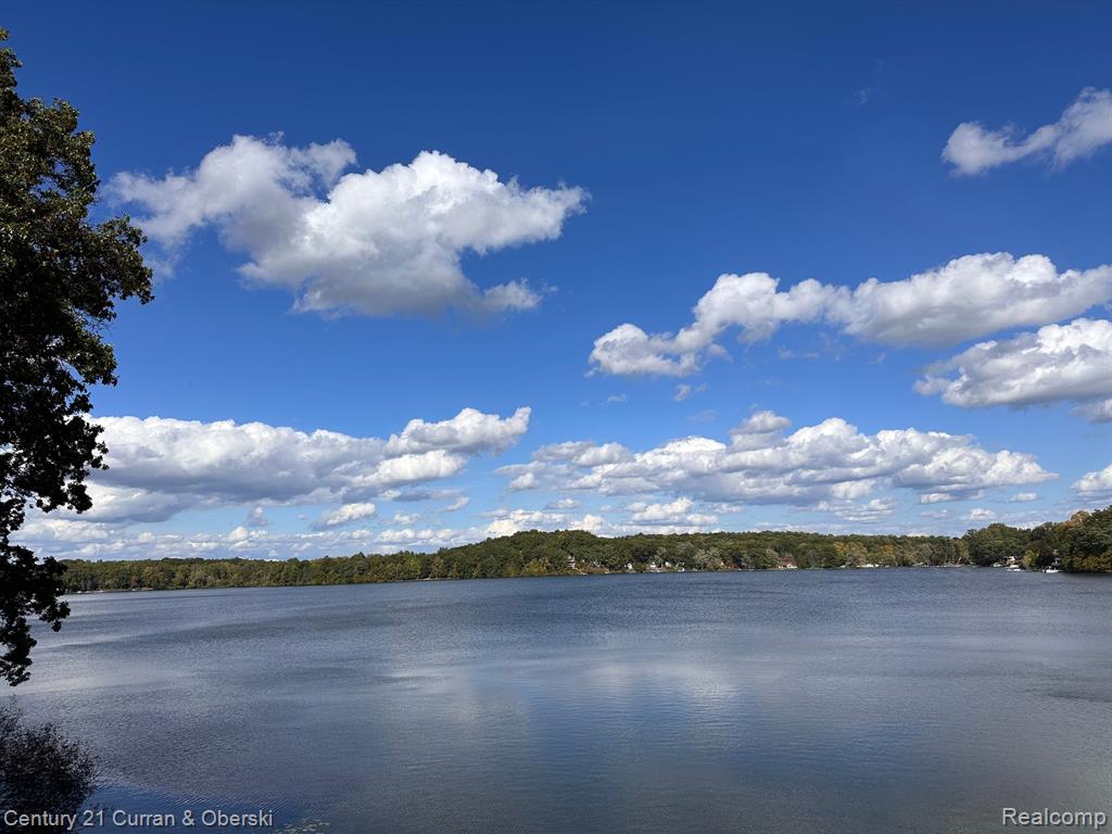 4724 CLEAR LAKE SHORES Drive, Grass Lake, MI 49240 — Photo 5