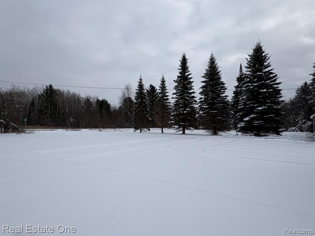2855 E County Line Road, Hale, MI 48739 — Photo 39