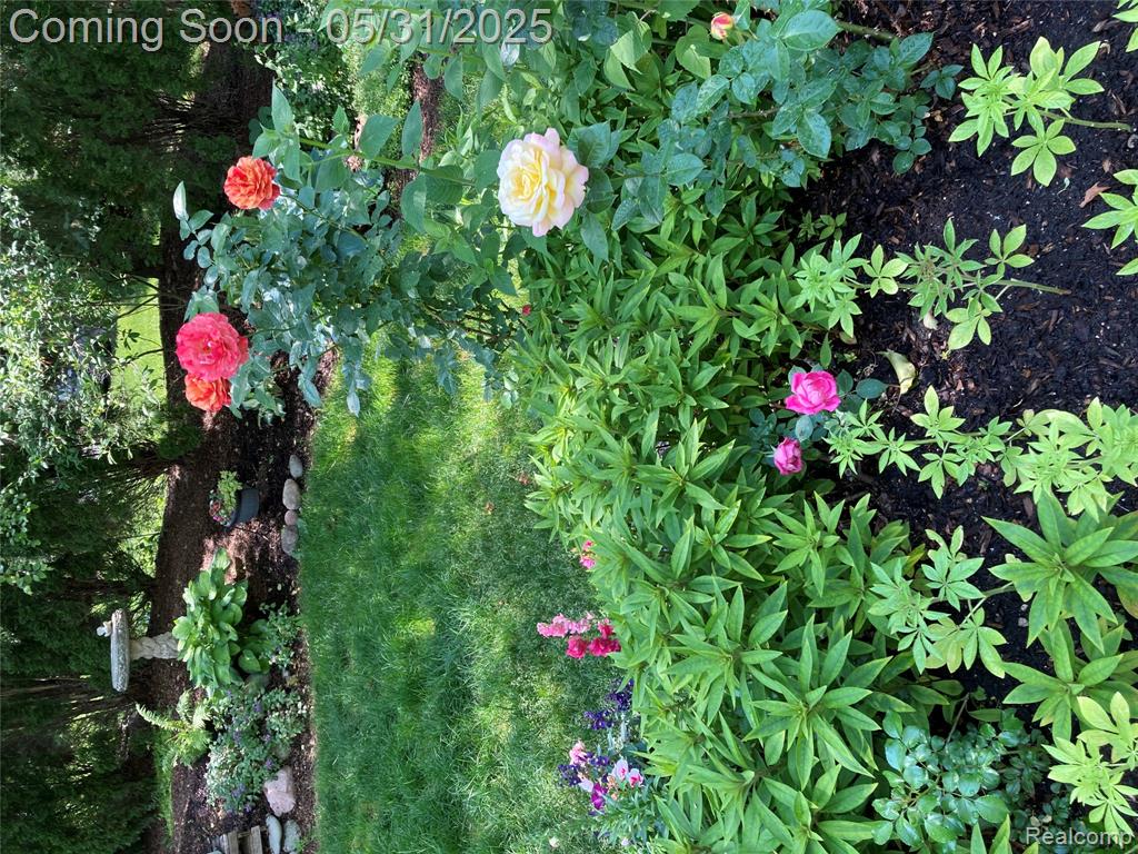 7271 N Village Drive, Clarkston, MI — Photo 26