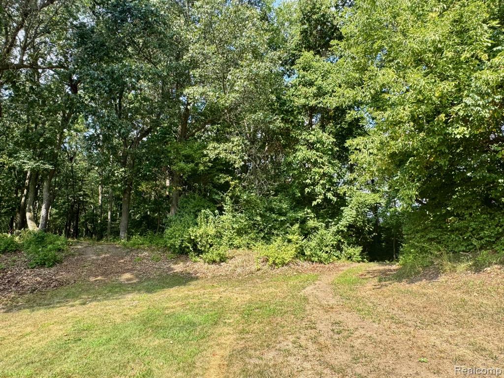 2250 E Dryden Road, Metamora, MI 48455 — Photo 70
