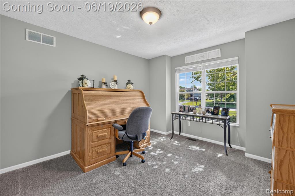 5900 Carter Court, Howell, MI 48843 — Photo 21
