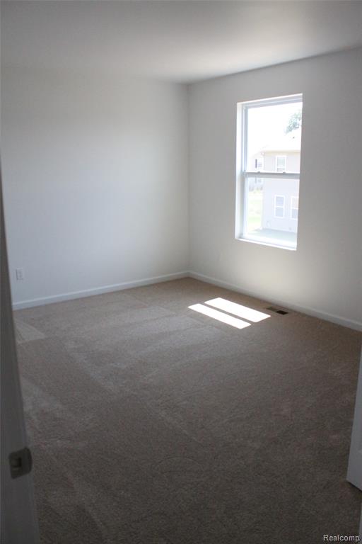 58175 KINCAID Street, New Haven, MI 48048 — Photo 20