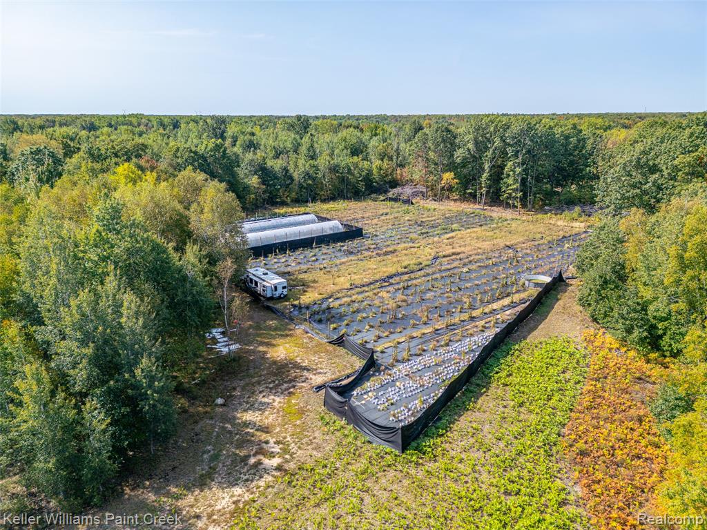 5852 NW County Line Road, Coleman, MI 48618 — Photo 57