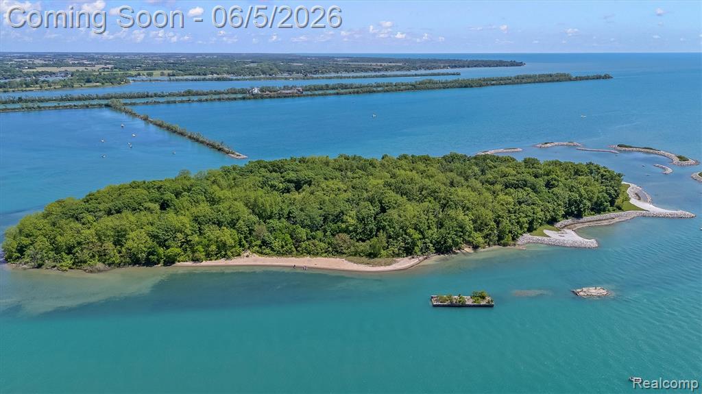 28195 Elba Drive, Grosse Ile, MI 48138 — Photo 62