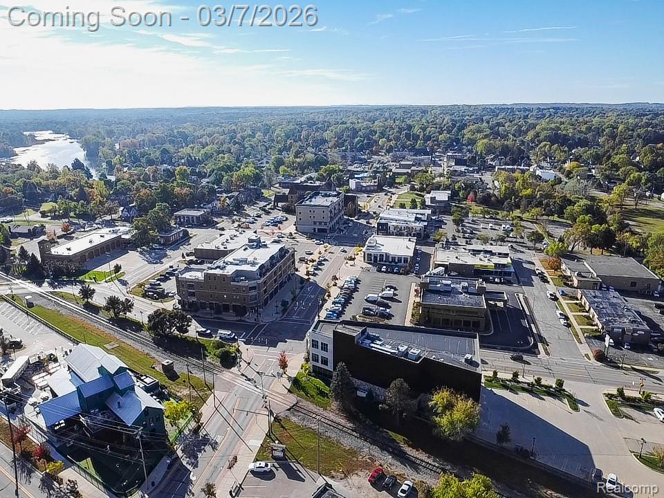 405 Lincoln Street, Fenton, MI 48430 — Photo 48