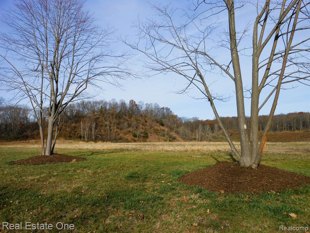 6 Park Ridge Road, White Lake, MI — Photo 26