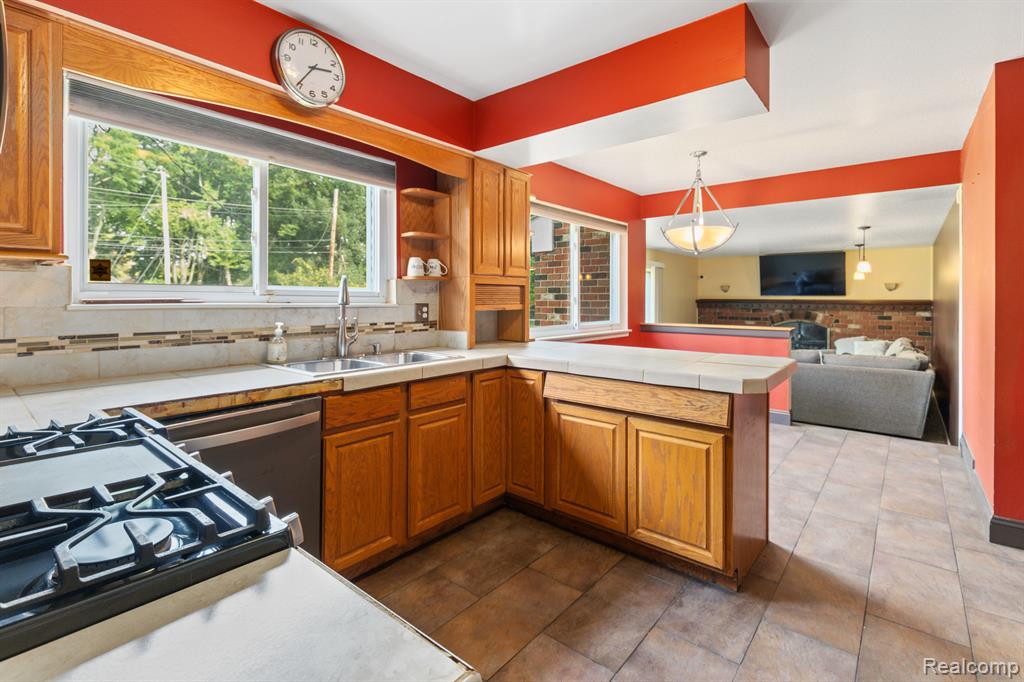 18230 RAINBOW Drive, Lathrup Village, MI 48076 — Photo 8