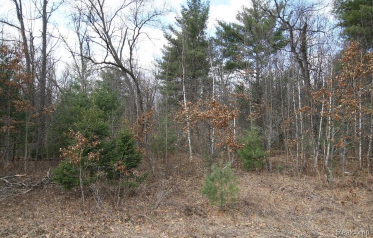 V/L S BRODIE Road, South Branch, MI 48761 — Photo 5