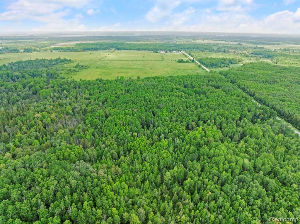 18031 State Highway M28, Newberry, MI 49868 — Photo 49