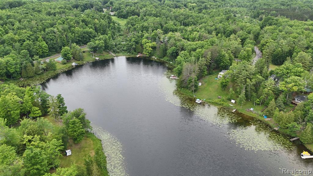 3410 Algonquin Trail, Glennie, MI 48737 — Photo 46
