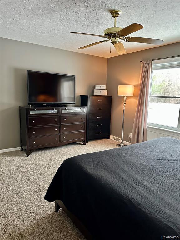 5239 Quain Road, Emmett, MI 48022 — Photo 29