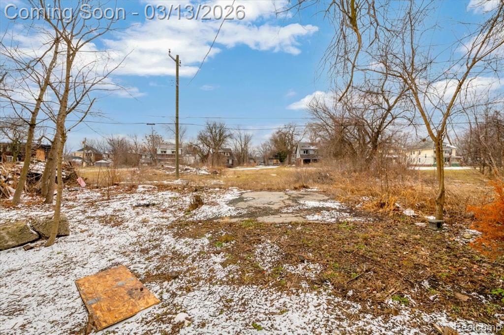 21 North Street, Highland Park, MI 48203 — Photo 42