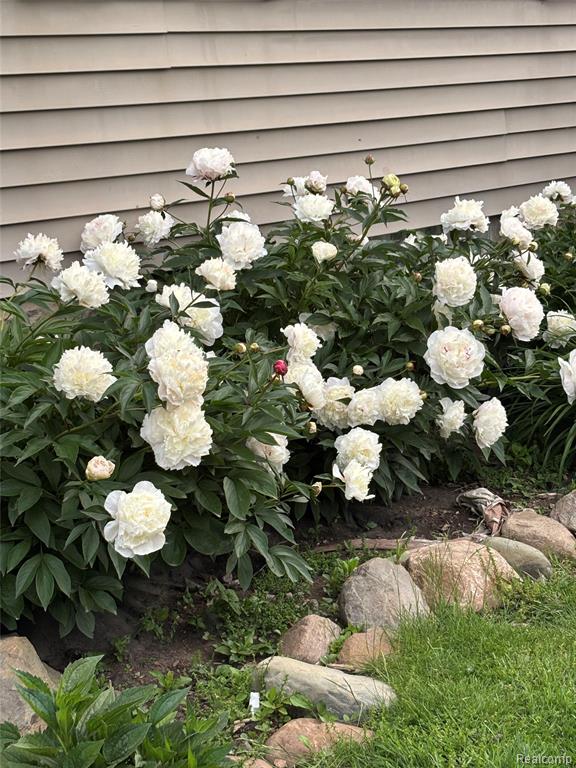 67325 Lowe Plank Road, Lenox, MI 48050 — Photo 40
