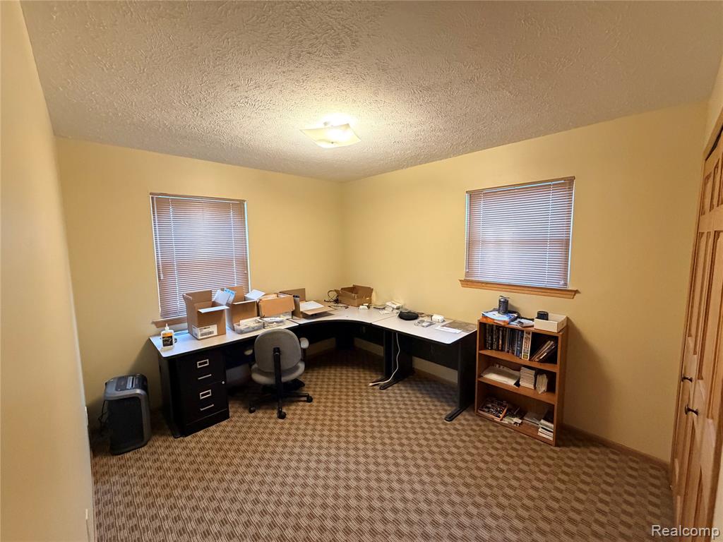 5376 Owosso Road, Fowlerville, MI 48836 — Photo 13