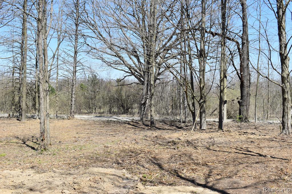 P-8 W ALLEN Road, Fowlerville, MI 48836 — Photo 3