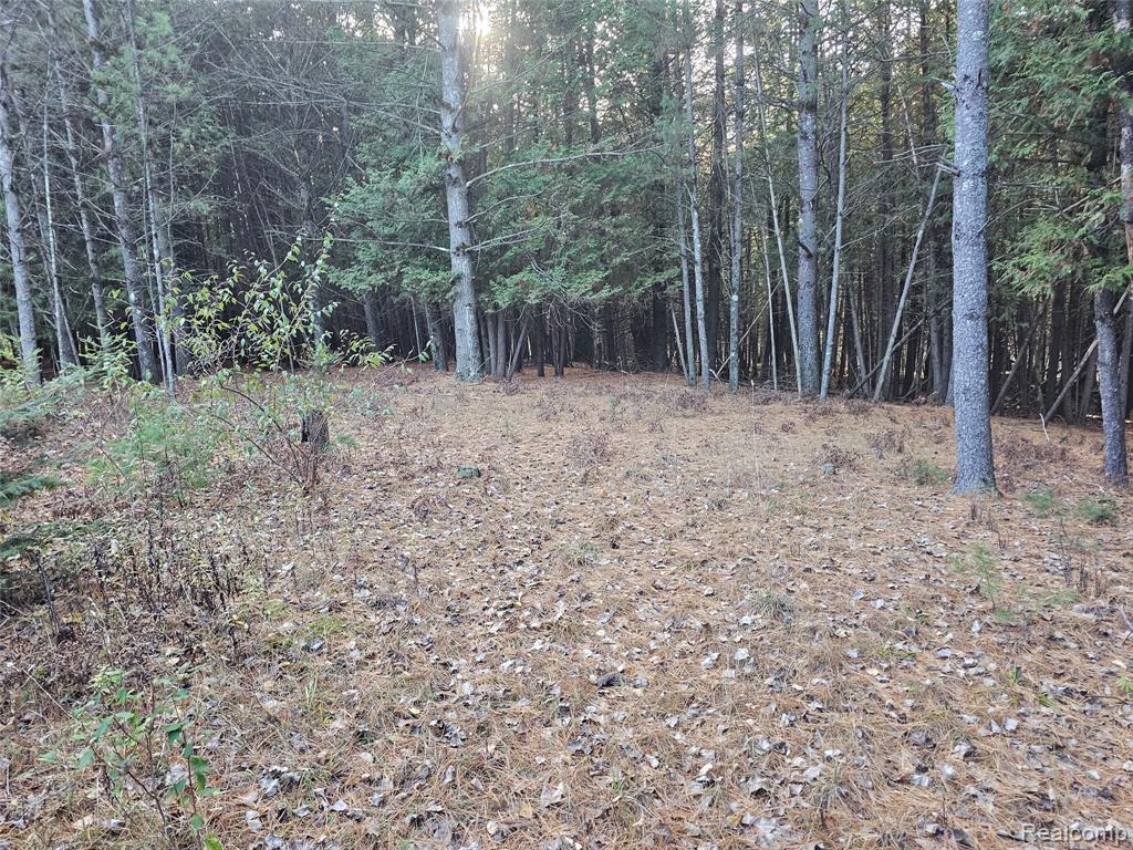 4901 M-55, Tawas City, MI 48763 — Photo 37