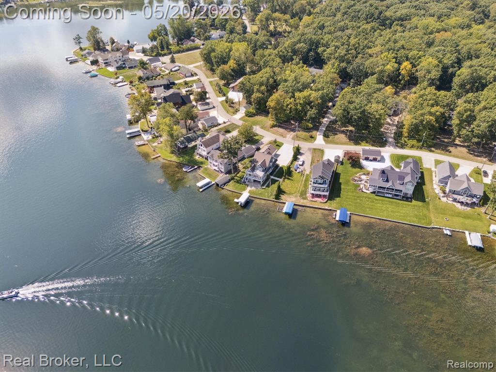 16295 Whitehead Drive, Linden, MI 48451 — Photo 57