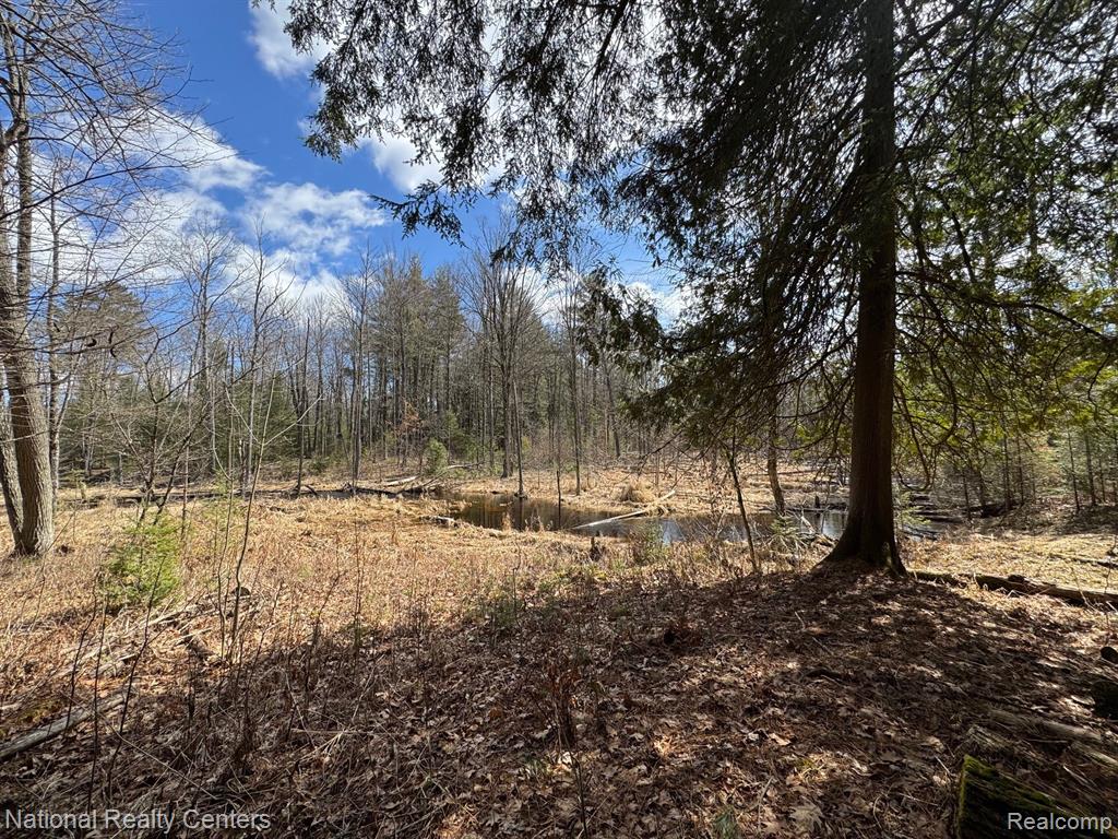 4233 Hardacre Trail, Houghton Lake, MI 48629 — Photo 17