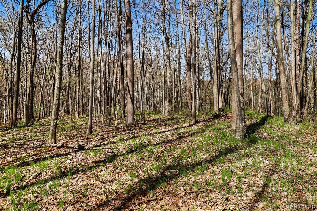 8815 Milford Road, Holly, MI 48442 — Photo 15