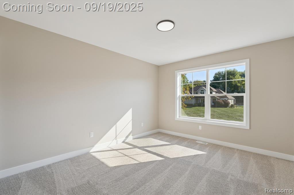 16368 Shadow Lane, Linden, MI 48451 — Photo 25