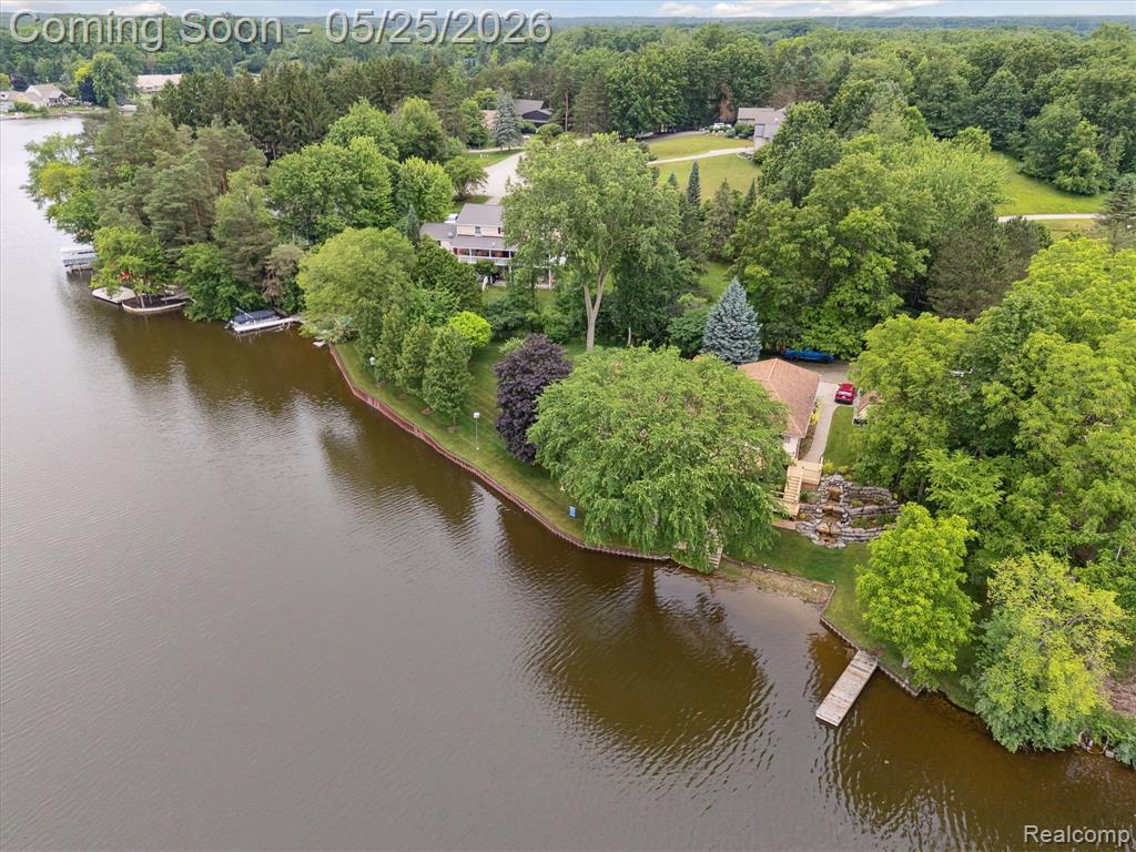 3817 Lake Lapeer Drive, Metamora, MI 48455 — Photo 9
