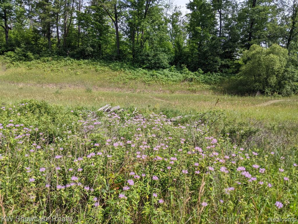 3595 E Stockwell Road, Harrison, MI 48625