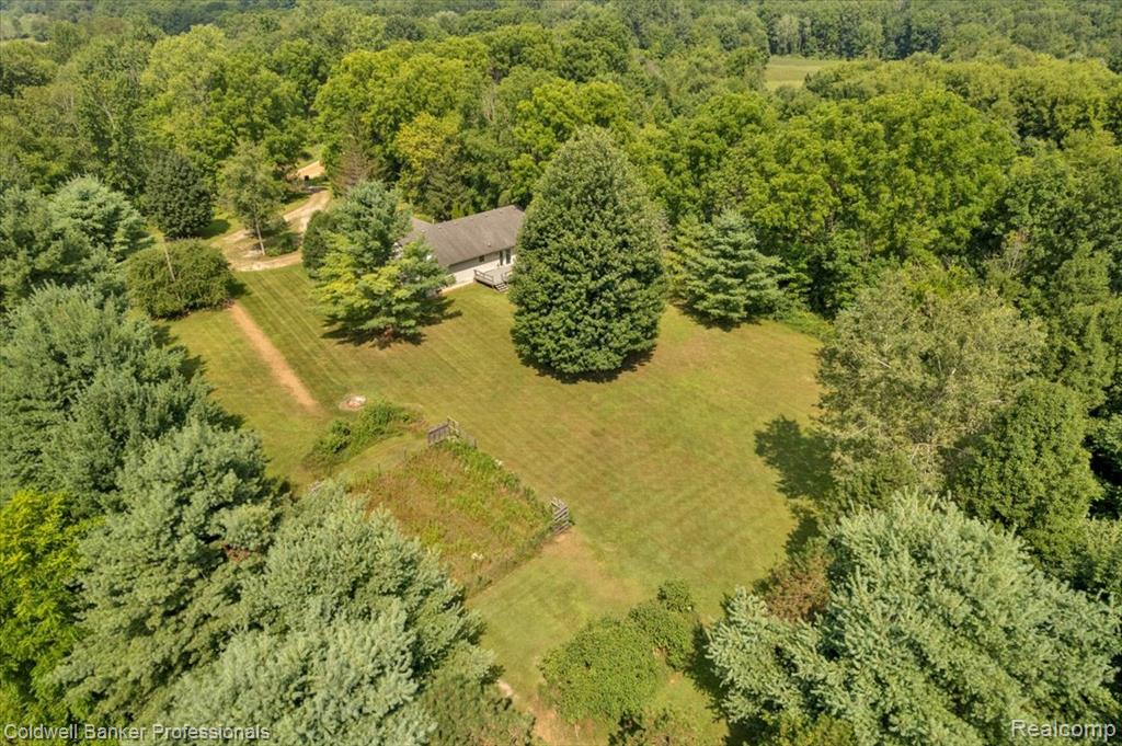 3443 Ivory Road, Metamora, MI 48455 — Photo 6