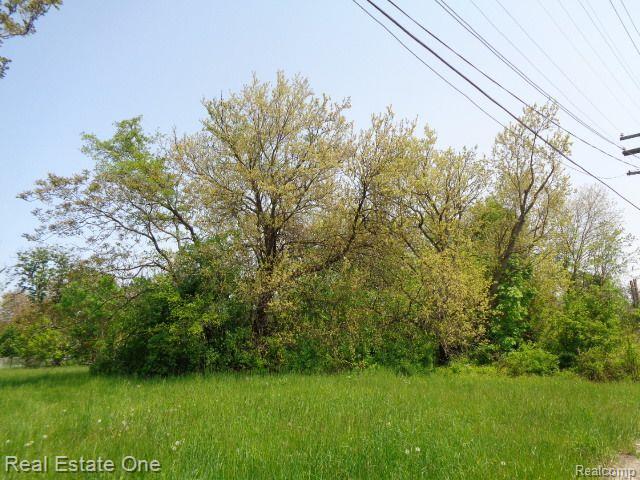 1051 CONCORD Street, Detroit, MI 48207 — Photo 9