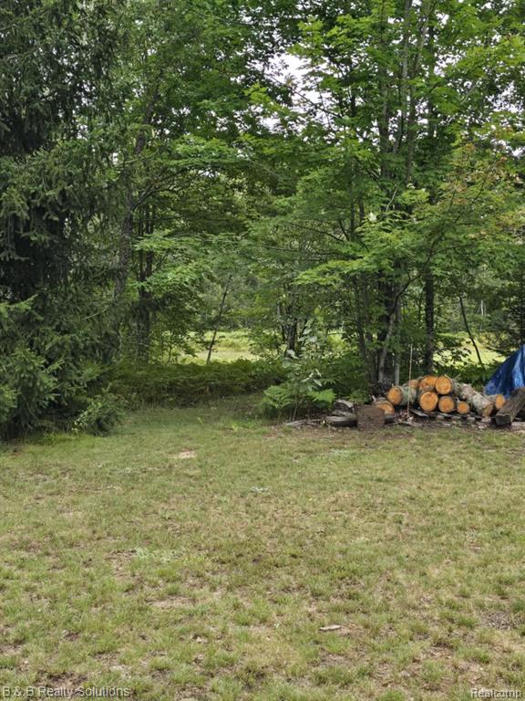 6961 PINEVIEW Drive, Mancelona, MI 49659 — Photo 26