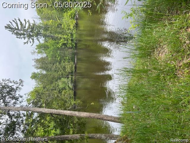 4148 Blue Vista Drive, Evart, MI 49631 — Photo 6