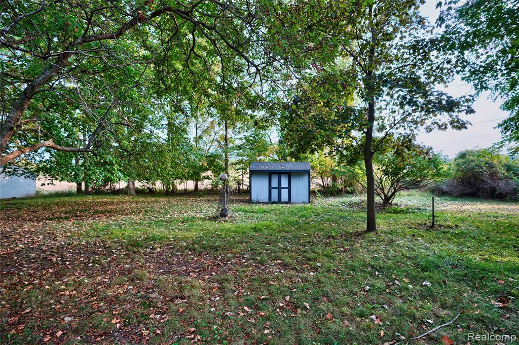 229 W Maple Street, Elsie, MI 48831 — Photo 33