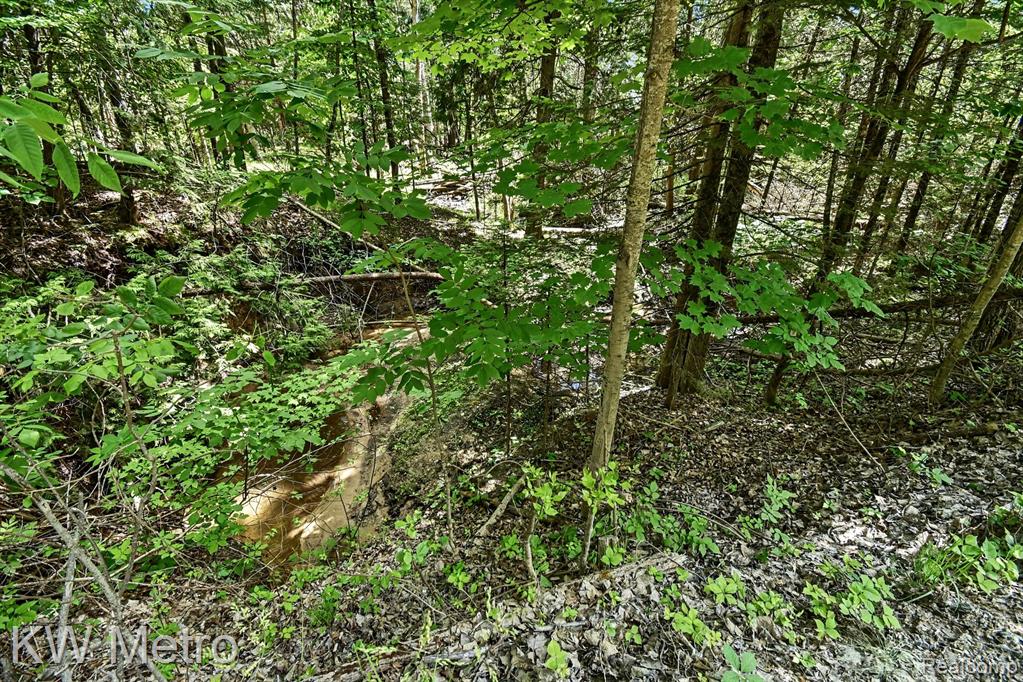 N/A Franklin Trail, Sterling, MI 48749 — Photo 5
