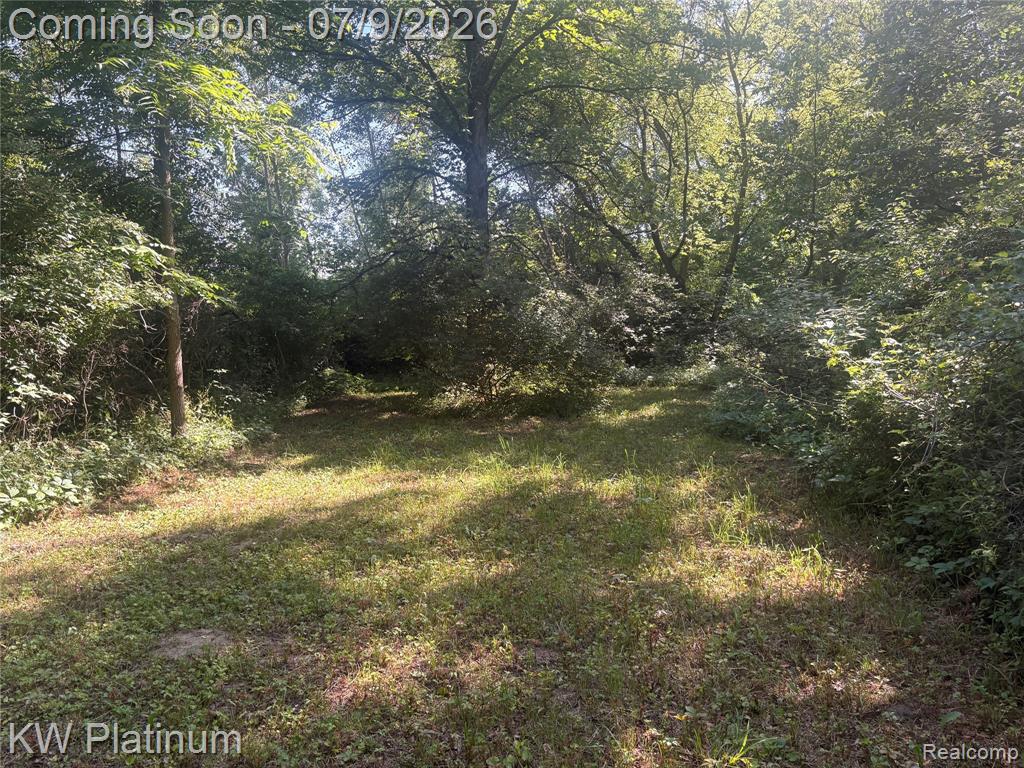 7280 North Road Road, Burtchville, MI 48059 — Photo 35