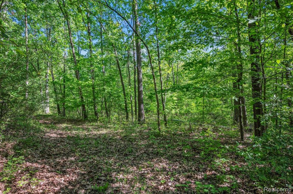 6250 Stine Road, Imlay City, MI 48444 — Photo 71