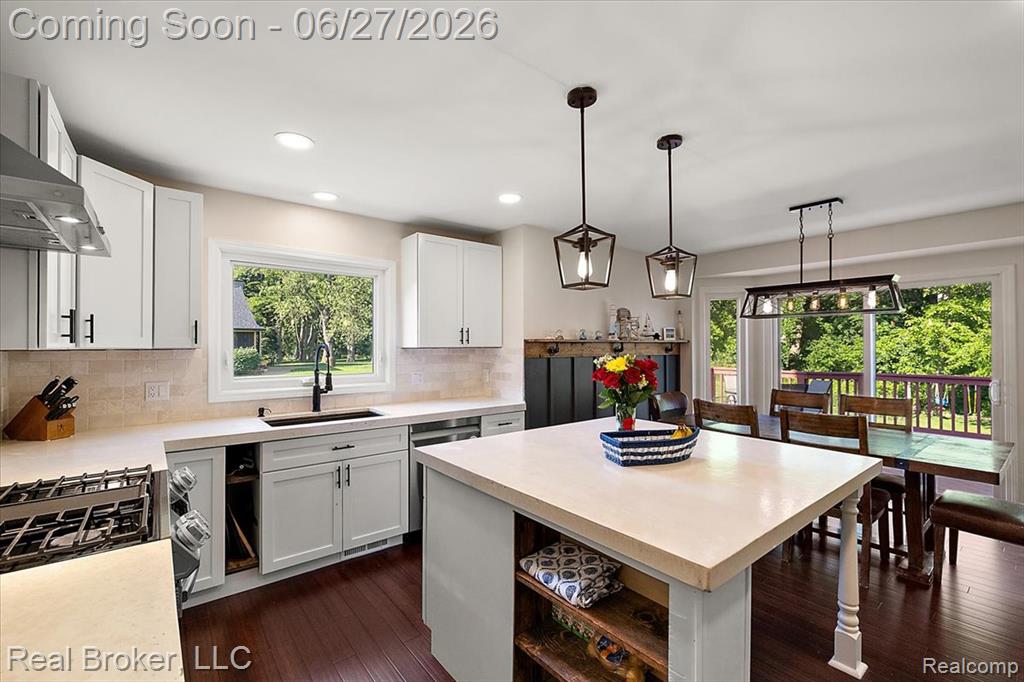 6180 Chad Court, Brighton, MI 48116 — Photo 16