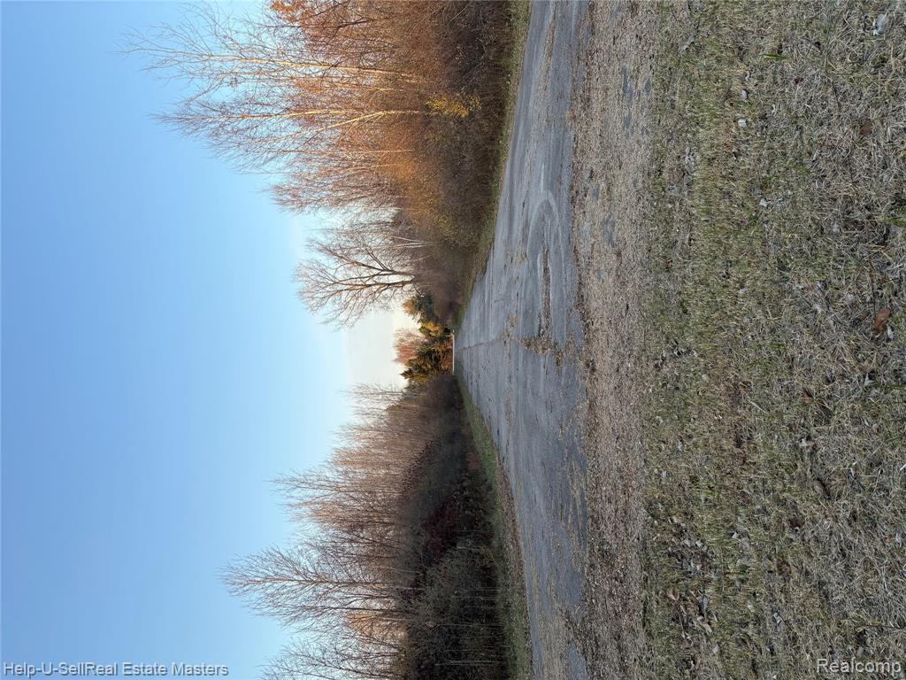 TBD Harris Road, Lakeport, MI 48059 — Photo 10