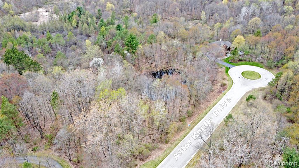 502 BLUEBIRD Trail, Ortonville, MI 48462 — Photo 8