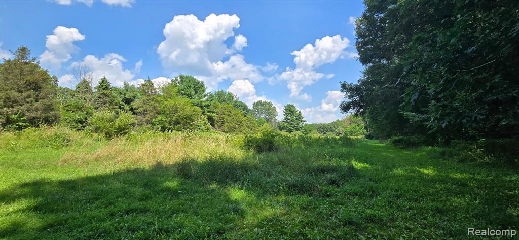 11411 Toma Road, Pinckney, MI 48169 — Photo 15