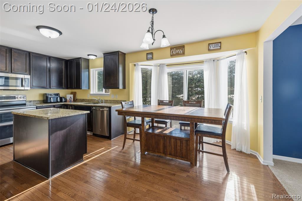 9005 Birch Pointe Drive, Newport, MI 48166 — Photo 13